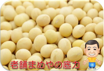 まめやの底力 大特価 北海道産大豆 1kg 【限定品】