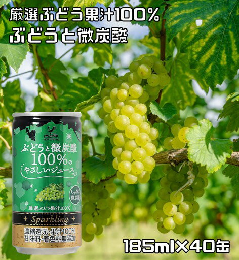 ぶどうと微炭酸 100%のやさしいジュ