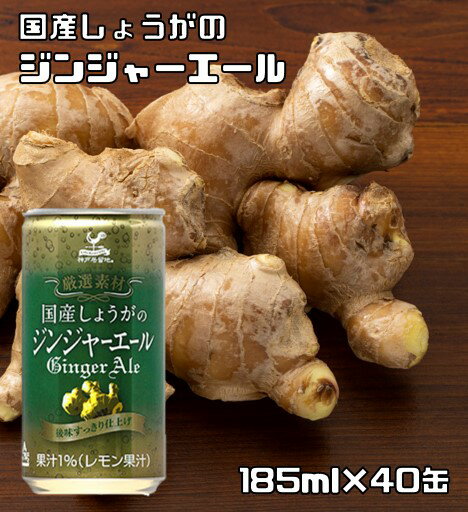 内容量・原産国 185ml×40本・日本 商品説明 国産しょうが汁とレモン果汁で後味すっきりに仕上げた本格派ジンジャーエールです。人工甘味料・着色料不使用のこだわり厳選素材。そのまま飲んでもミキサーとしてもお楽しみいただけます。カクテルの割り材としてもお楽しみいただけます。安心の国内製造品！まとめ買いに便利なケース販売（箱買い）仕様です♪ 富永貿易（富永食品）株式会社は、95年以上の歴史を持つ輸入商社です。輸入品だけでなく、国産ブランド「神戸居留地」を中心とした飲料事業も展開しています。 賞味期限 製造から360日 保存方法 常温（高温、直射日光を避け保存してください。） 原材料 果糖ぶどう糖液糖(国内製造)、レモン果汁、しょうが汁/炭酸、酸味料、香料　