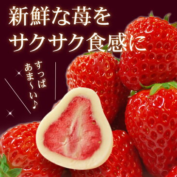 マキィズ　いちごトリュフ 　65g×36箱　　【いちごチョコ 苺チョコ 苺チョコレート イチゴ チョコレート 苺 トリュフ ホワイトチョコ フリーズドライ 神戸スイーツ お取り寄せスイーツ】