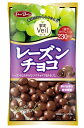 グルメな栄養士セレクト洋菓子　レーズンチョコ　47g×12袋　　【正栄デリシィ　チョコレート　ぶどうチョコ　業務用】