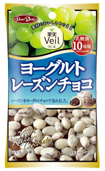 グルメな栄養士セレクト洋菓子　ヨーグルトレーズンチョコ　40g　　【正栄デリシィ　チョコレート　ぶどうチョコ】