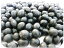【送料無料】豆力 契約栽培十勝産 黒豆 10kg