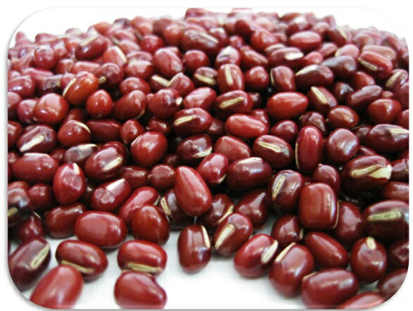 豆力　契約栽培十勝産　小豆　10kg