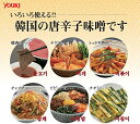 コチジャン 1kg ユウキ食品 YOUKI 韓国調味料 コチュジャン 唐がらしみそ 辛味噌 辛みそ 韓流味噌 業務用 2