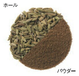 GABAN　フェンネル　ホール （袋）　100g×10袋　　　【スパイス　ハウス食品　香辛料　粒　シード　業務用　Fennel　ういきょう】