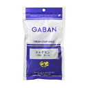 GABAN　カルダモンホール（袋）　100g　　　【スパイス　ハウス食品　香辛料　シード　粒　業務用　Cardamom　しょうずく】