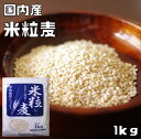 豆力　こだわりの米粒麦（岡山県産）　1kg　【麦　白麦　大麦　押麦　国産　国内産】