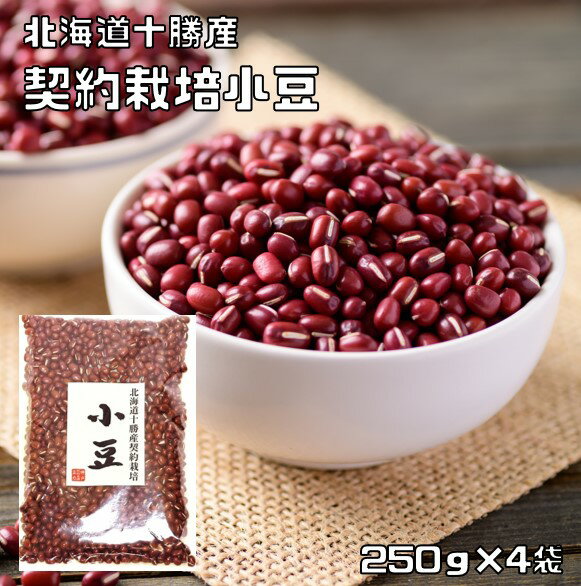 遠藤製餡 有機 ゆであずき 250g缶×24(6×4)個入｜ 送料無料 ゆで小豆 オーガニック 有機JAS 小豆 あんこ