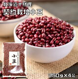 豆力　契約栽培十勝産　小豆 （あずき） 1kg　　【乾燥豆　お祝い　お彼岸　あずき　しょうず】