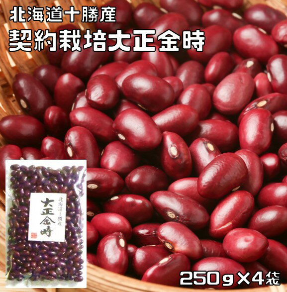 大正金時 1kg 豆力 契約栽培十勝産 