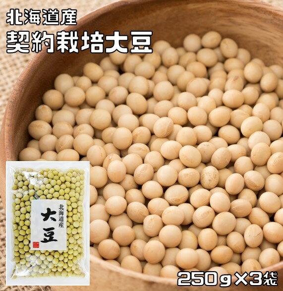 大豆 250g×3袋 豆力 契約栽培 北海道産 (メール便)だいず 国産 乾燥豆 国内産 豆類 乾燥大豆 和風食材 生豆