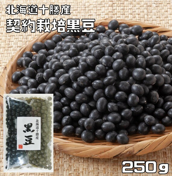  250g   ͔| kC \Y 哤 ܂ 낾 Y  Y  哤 