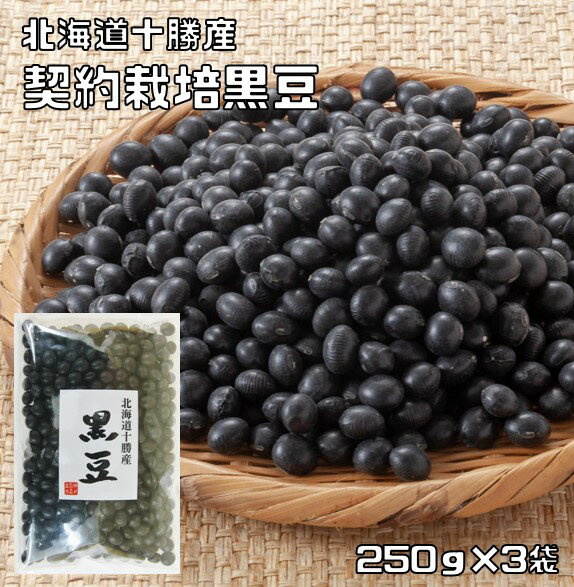 黒豆 250g×3袋 豆力 契約栽培 メール便 北海道 十勝産 黒大豆 くろまめ くろだいず 国産 乾燥豆 国内産 豆類 乾燥大豆 生豆