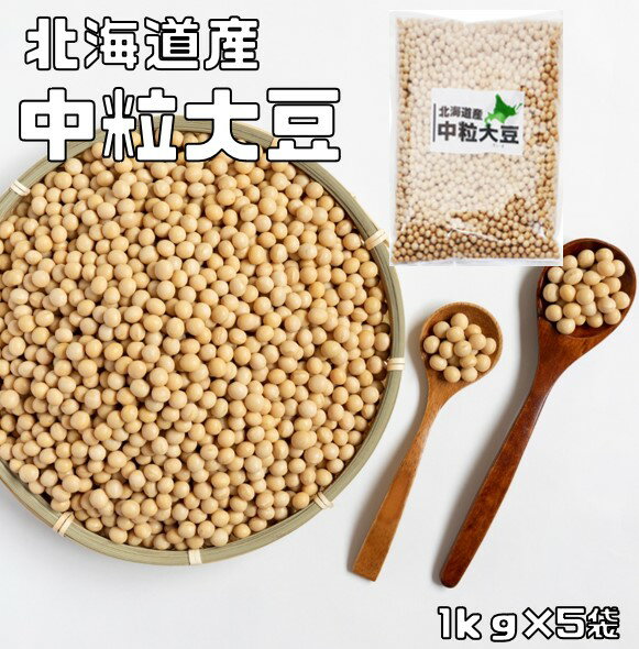 大豆 中粒大豆 5kg まめやの底力 北