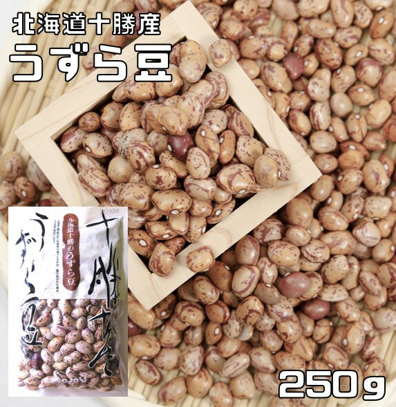 うずら豆 250g 豆力 北海道十勝産 （