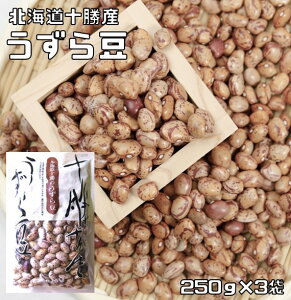うずら豆 250g×3袋 豆力 北海道十勝産 (メール便)北海道産 アサヒ食品工業 うずら 国産 国内産 徳用 乾燥豆 手料理 煮豆用