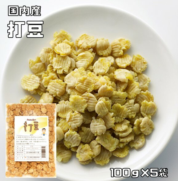 打豆 100g×5袋 豆力 国内産 大豆 打ち