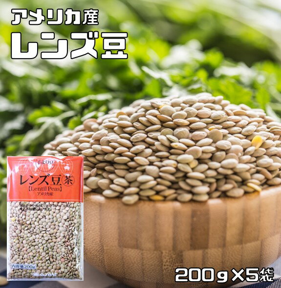 レンズ豆 皮つき 1kg 豆力 れんずま