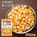 ポップコーン 250g 豆力 お徳用 手作り Pop Corn 豆 アメリカ産 コーン おやつ おつまみ お菓子 業務量 大容量