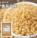 発芽玄米 1kg 豆力 こだわりの北海道産 玄米 玄氣 発芽米 【無洗米タイプ】 1