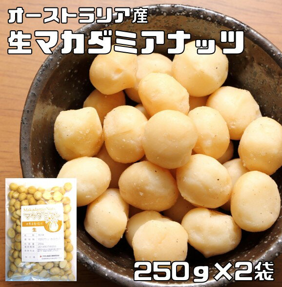 マカダミアナッツ 生 250g×2袋 世界美食探究 オーストラリア産 （メール便）大粒 マカデミアナッツ 無塩 無油 国内加工 業務用 製菓材料 製パン材料