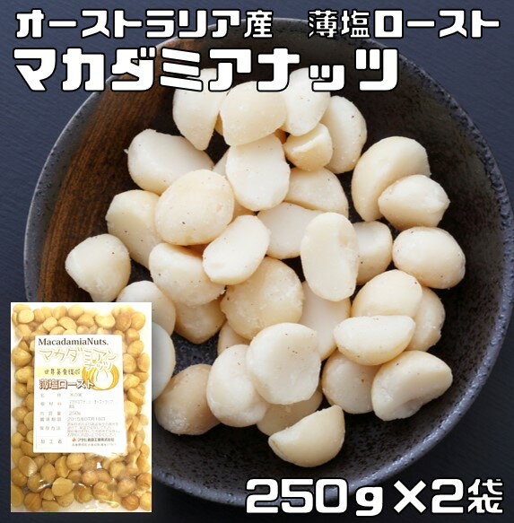 マカダミアナッツ 薄塩 250g×2袋 世界美食探究 オーストラリア産 （メール便）塩味 マカデミアナッツ 有塩 ロースト 国内加工 業務用 製菓材料