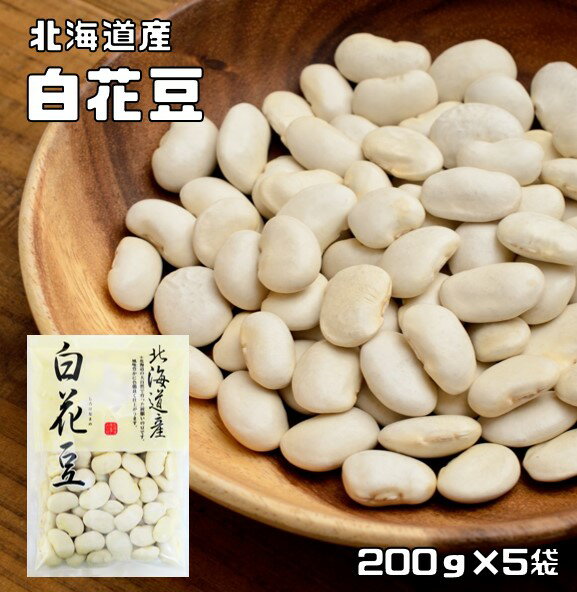 白花豆 1kg 豆力 北海道産 白花美人 