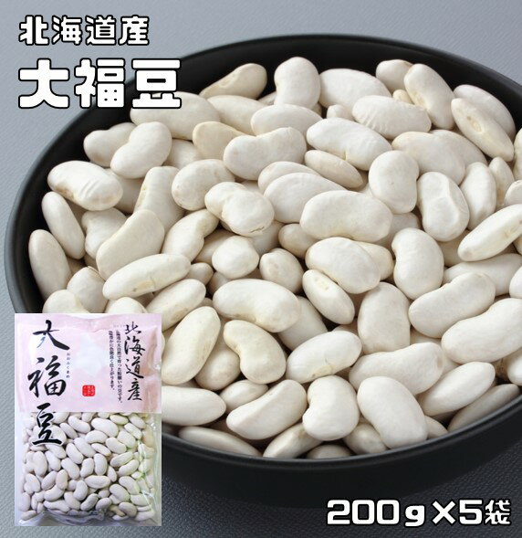 大福豆 1kg 豆力 北海道産 白インゲ