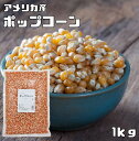 ポップコーン 1kg まめやの底力 お徳用 手作り Pop Corn 豆 アメリカ産 コーン おやつ おつまみ お菓子 業務量 大容量