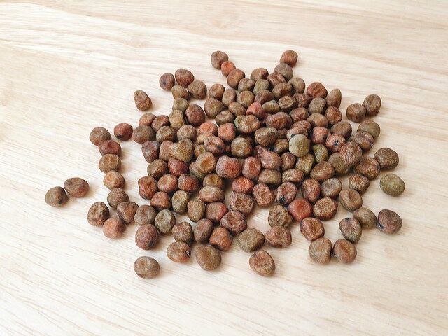 ���Ʀ 1kg Ʀ�� �̳�ƻ�� ����ɤ�Ʀ ��������ɤ� �֤���ɤ� �ߤ�Ʀ ����Ʀ Ʀ�� �������� ��Ʀ �� ���⻺