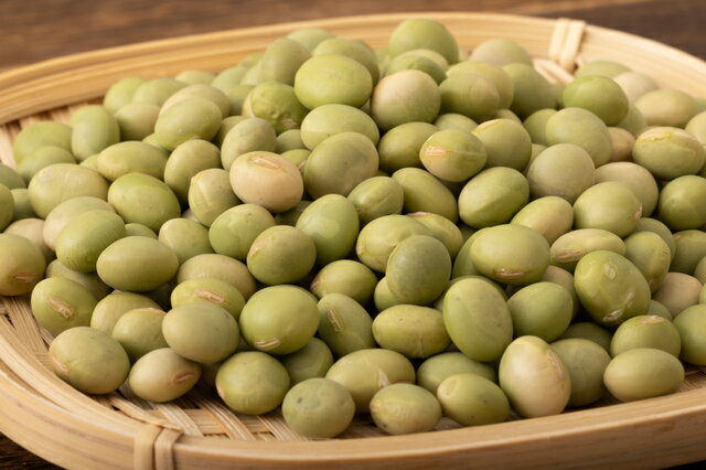 ����Ʀ 250g Ʀ�� �������� �ҤǤ�Ʀ �� ����Ʀ ��Ʀ ������ ���⻺ ����Ʀ ������Ʀ