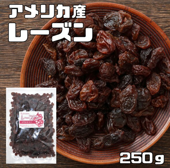 レーズン 250g アメリカ産 世界美食探究 ドライフルーツ 種なし カリフォルニア産 乾燥ぶどう 製菓 製パン 材料 国内加工