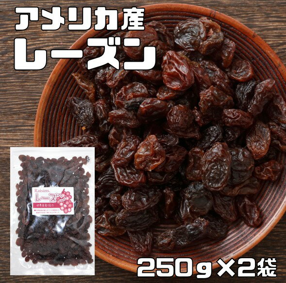 レーズン 250g×2袋 アメリカ産 世界美食探究 (メール便)ドライフルーツ 種なし カリフォルニア産 乾燥ぶどう 製菓 製パン 材料 国内加工
