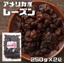 【メール便送料無料】　レーズン アメリカ産 250g×2袋 ドライフルーツ 世界美食探究