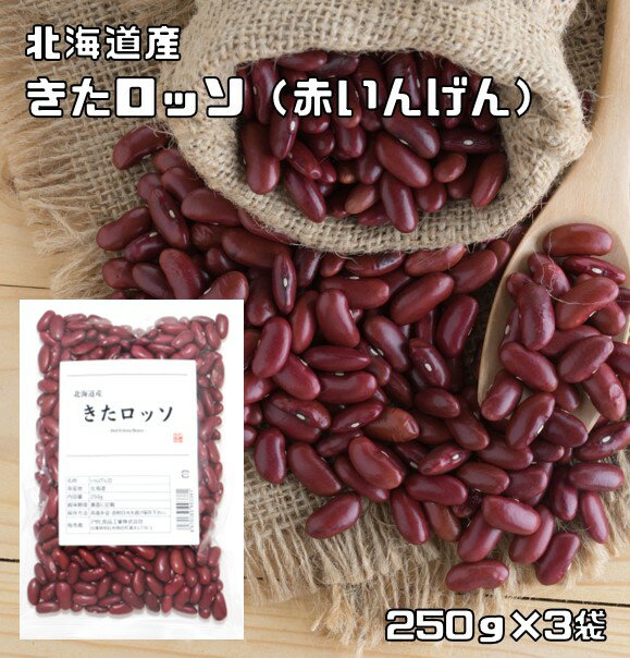 きたロッソ 250g×3袋 豆力 北海道産 （メール便）赤いんげん豆 新品種 レッドキドニー 国産 国内産 希少種 インゲン豆