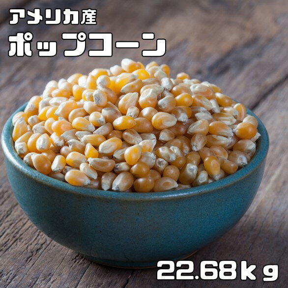 ポップコーン 22.68kg（50ポンド） 豆力 お徳用 手作り Pop Corn 豆 アメリカ産 コーン おやつ おつまみ お菓子 業務…