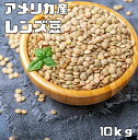 レンズ豆 皮つき 10kg 豆力 れんずまめ レンティルピース 皮付き 国内加工 乾燥豆 豆類 乾燥豆 サラダ豆 スープ 輸入豆