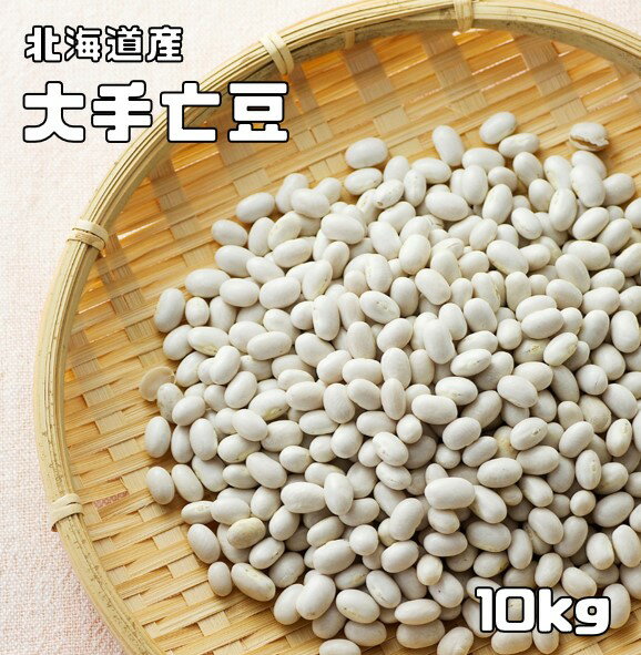 2022年度産 北海道産 中長うづら豆 10kg 隠元豆 隠元 インゲン うづら 菜豆 三度豆 pinto bean 中長 うづら豆 豆