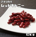 レッドキドニー 10kg 豆力 キドニービーン インゲン豆 金時豆 国内加工 乾燥豆 豆類 乾燥豆 サラダ豆 スープ 輸入豆