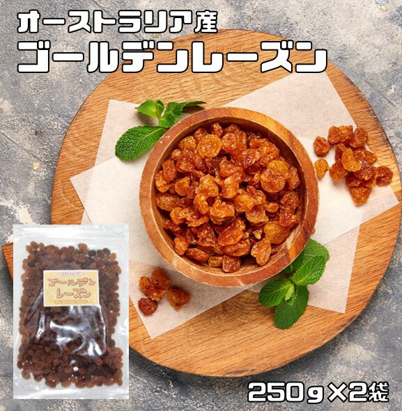 ゴールデンレーズン 250g×2袋 オーストラリア産 世界美食探究 (メール便)ドライフルーツ シードレス サルタナ種 干しぶどう 製菓 製パン