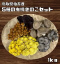 有機栽培きのこセット 1Kg 鳥取県伯耆産 食べチョク 伯耆のきのこ 椎茸 木耳 平茸 なめこ タモギタケ 有機JAS 無農薬 詰め合わせ 産直