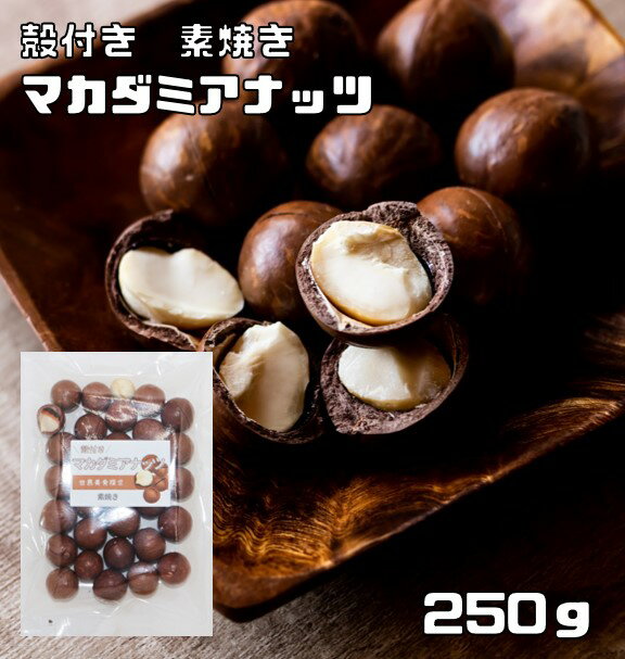 マカダミアナッツ 殻付き 素焼き 250g 世界美食探究 ナッツ 希少 殻 ベトナム産 加工 おつまみ おやつ 無塩 無油 マ…