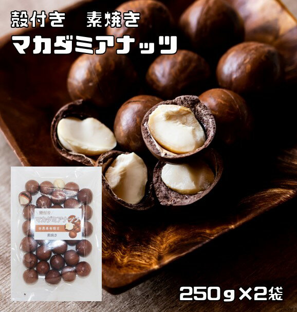 マカダミアナッツ 殻付き 素焼き 250g×2袋 世界美食探究 （メール便）ナッツ 希少 殻 ベトナム産 おつまみ おやつ 無…