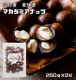 マカダミアナッツ 殻付き 素焼き 250g×2袋 世界美食探究 ナッツ 希少 殻 ベトナム産 加工 おつまみ おやつ 無塩 無油 マカデミアナッツ