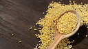 もちきび 150g 豆力 国産 （メール便）国内産 黍 雑穀 もち黍 国内加工 きび いなきび 餅黍 穀物 雑穀米 2