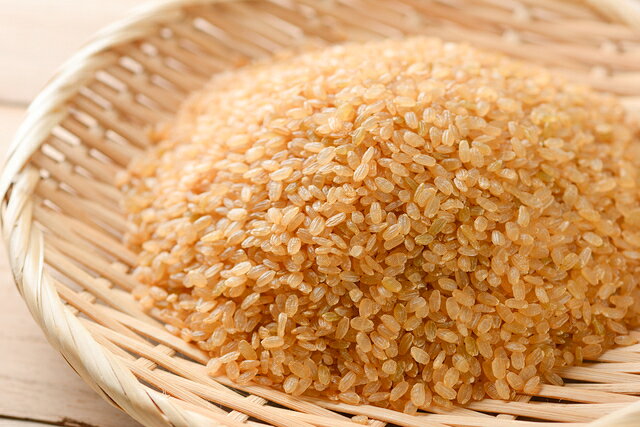 発芽玄米 1kg 豆力　玄米 玄氣 米 発芽米 無洗米タイプ 日本米 国産米 国内産 穀物...