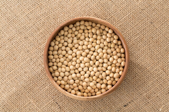 大豆 20kg 豆力 契約栽培 北海道産 だいず 国産 大豆 乾燥豆 国内産 豆類 乾燥大豆 和風食材 生豆 業務用 2