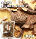 乾物屋の底力　大分県産　未選別椎茸　300g　【訳あり　原木栽培　乾物 乾燥しいたけ　徳用　大容量】