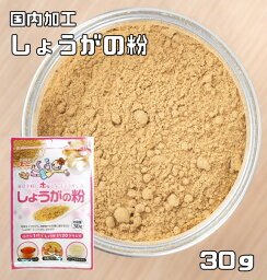 しょうがの粉 30g こなやの底力 生姜 粉末タイプ ジンジャーパウダー 生姜粉 和菓子材料 製菓材料 国内加工 玉三 生姜パウダー